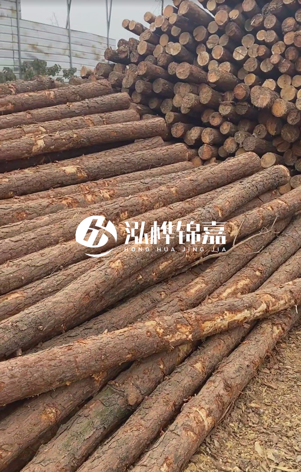 山西河道木樁護(hù)岸價格多少錢一米-每米河道打樁要花多少錢？