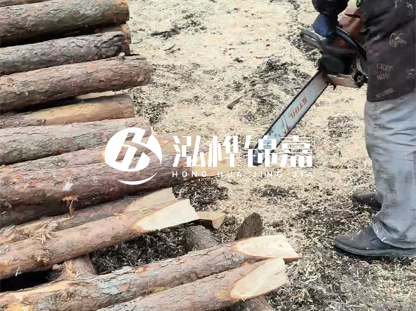 杉木樁批發(fā)廠家哪家好？產(chǎn)地直供渠道推薦！