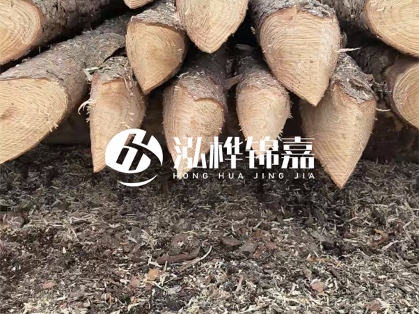 打樁木樁與鋼樁相比有哪些優(yōu)缺點？如何進(jìn)行后期維護(hù)？