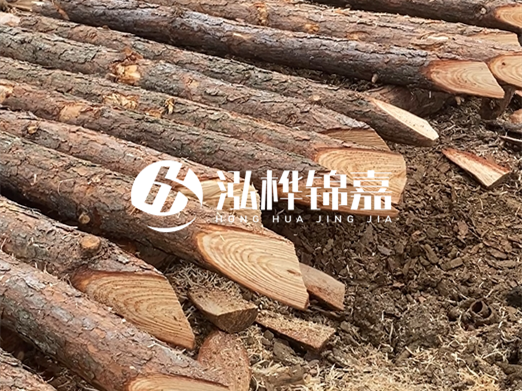 松木樁削尖的費用怎么算？按根收費還是包含在單價里？
