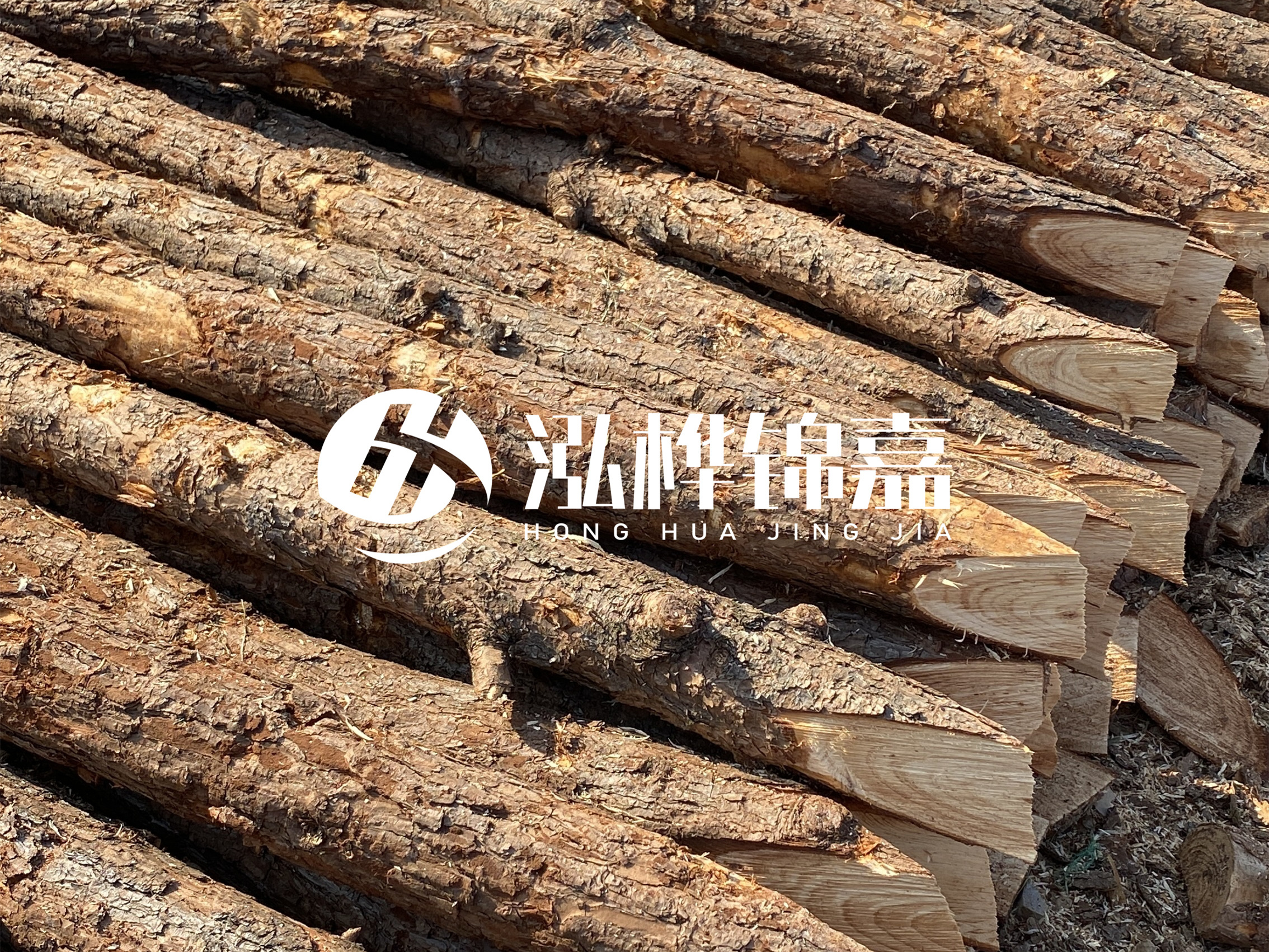 8 米超大直徑松木樁的價格是多少？帶皮和去皮松木樁價格差多少？