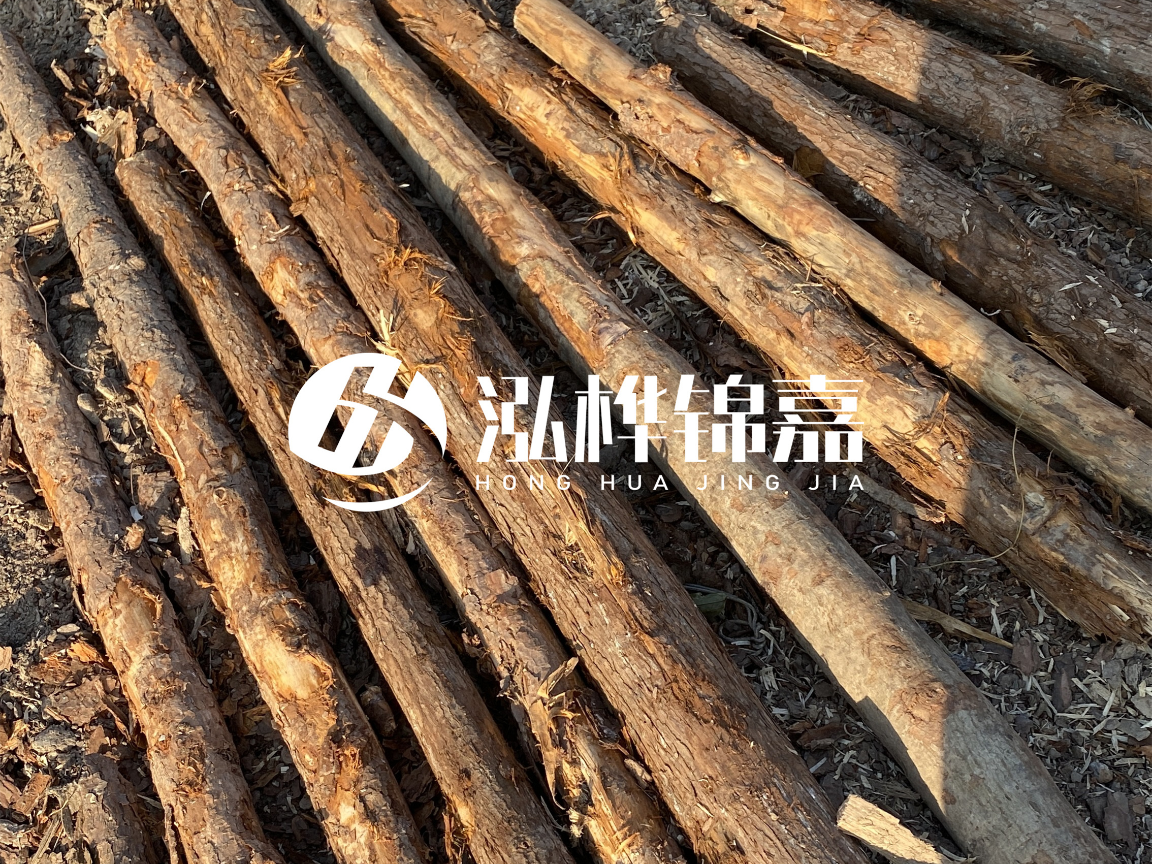 河道木樁多少錢一根？河道木樁的使用以及保養(yǎng)方法?