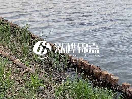 防洪松木樁施工重要性？河道打木樁的位置怎么確定？
