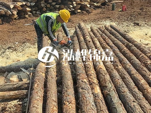 松木樁批發(fā)廠家泓樺錦嘉-河道打樁木施工中怎么防止樁頭被打壞？