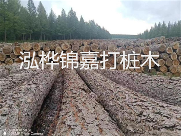 高效施工，圓松木樁助力建筑工程進(jìn)展順利