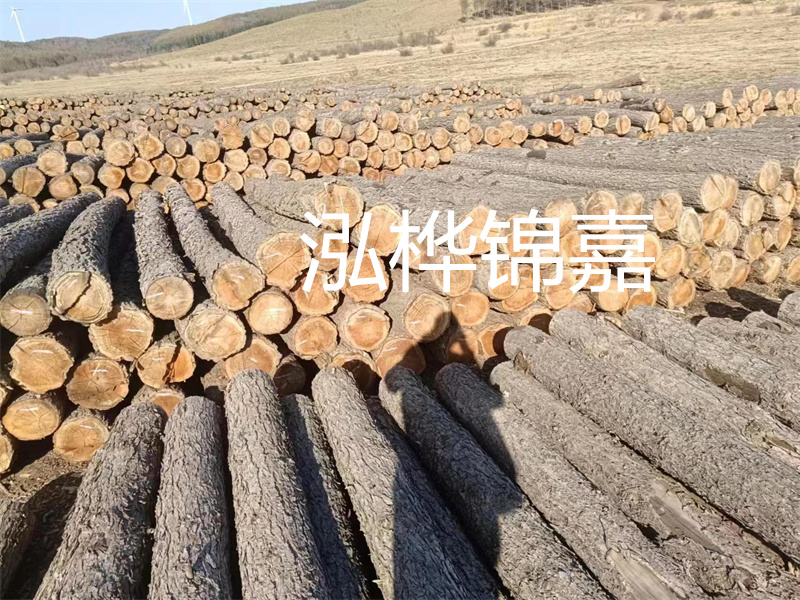 鹽城松木樁河道圍堰施工，保護(hù)生態(tài)環(huán)境，打造美麗城市