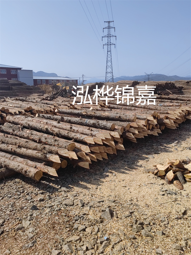 東莞市松木樁供應(yīng)商推薦——哪里有松木樁？